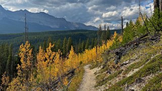 Parc National de Banff Canada 2023